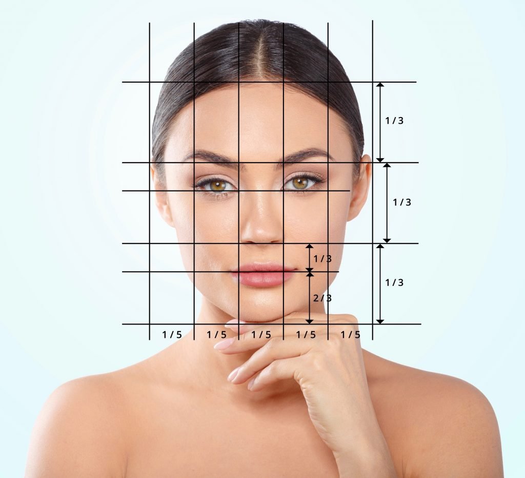 The measurements of the ideal face